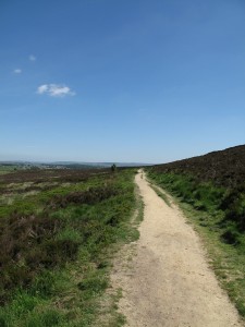 Path across the moors 